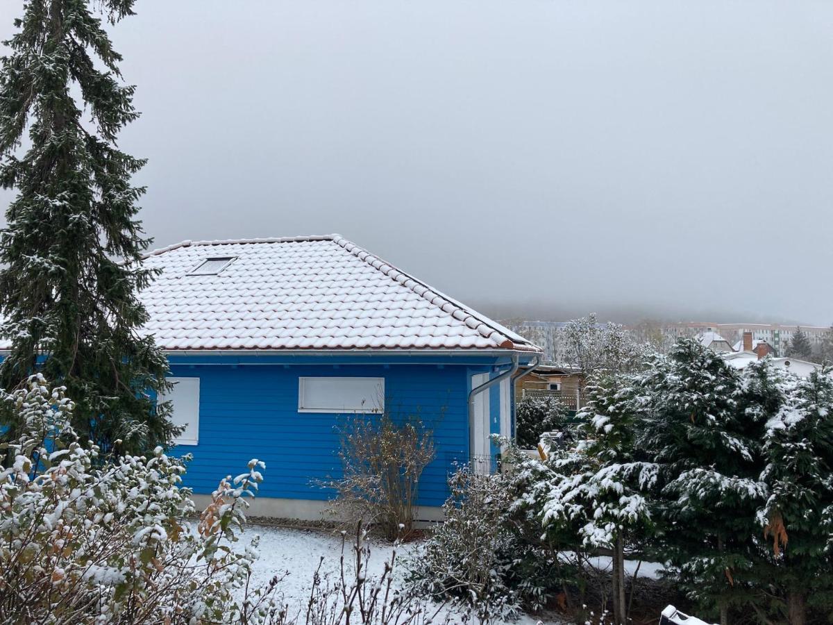 Blaues Ferienhaus ורניגרוד מראה חיצוני תמונה